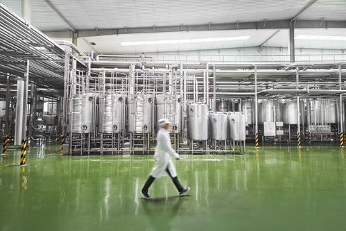 走進(jìn)新乳業(yè)智能工廠 低溫業(yè)務(wù)雙位數(shù)引領(lǐng)增長(zhǎng)，生物芯與數(shù)智化雙輪驅(qū)動(dòng)企業(yè)管理創(chuàng)新